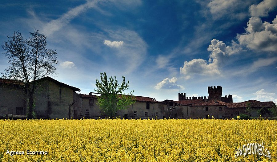 il castello e le case vicine.jpg